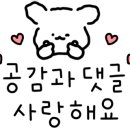 냉삼집수 이미지