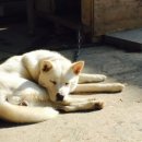 역전할머니맥주 지곡점 이미지