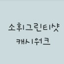 V클린