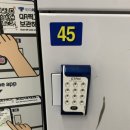 일본 도쿄 일상｜골든위크 6일차 (Find My Seoul① 버스 타고 안국 탐방 🚌)