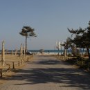 망상오토캠핑리조트 이미지