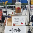 오르트오란다