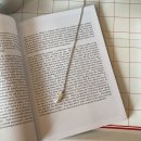 Pearl | 미라벨 x ofr seoul Knobbly Long Pearl Necklace 후기 (딤디 목걸이)