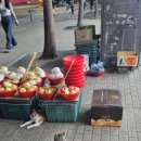 오씨네 과일야채생선 이미지