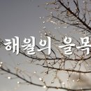 해월 이미지