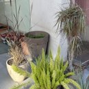 도일약국 이미지