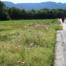 반도여관 이미지