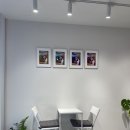 오로라요거트아이스크림 이미지