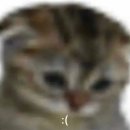 라이브헤어겔러리 | 東京 🥂🗡️