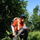 도내2리 이미지