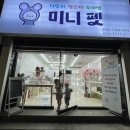 미니펫샵 - 강남구 언주로79길 5 | 인천 남동구 미니펫샵 방문기 귀여운 햄스터 크림이 입양했어요!