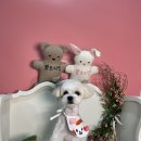 양덕동275 이미지