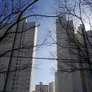 진영한림풀에버부동산중개사무소 이미지