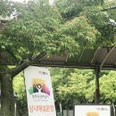 순창군 종합관광안내소 이미지