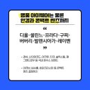 이음안경 네이버블로그