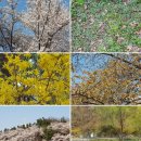 우리만물센터 | 2026년 #용기총 목회자부부 수양회 #KG 써닝리더십센터#회장 이병희 목사 #용인우리교회