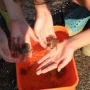 연포펜션 이미지