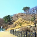 호명호수(갤러리) 이미지