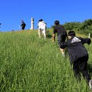 평일초등학교 이미지