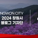 사파동203 이미지