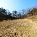 명성토지공인중개사사무소 이미지