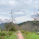 반구정습지 이미지