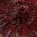 터미널생고기 이미지