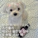 서분식 | 예민피부 강아지도 OK? 강아지 홈스파템 추천 | 스킨들리 피오니 샴푸 + 허벌 스파팩 리얼후기