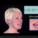 idiosyncrasy 특질, 특징, 특유의 표현법 이미지