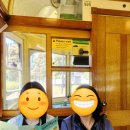 멜버른 여행 무료 트램 타는법 Free Tram 정보 정리