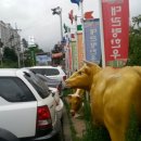 한*우 이미지