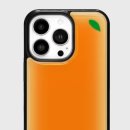 토마토스토리 이미지