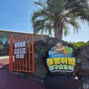 제주 ㅣ 여행 필수 코스 짱구 테마 포토스팟 가득한 르벙쓸레브 후기