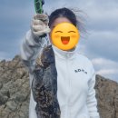 25시낚시