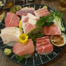 후노참치 이미지