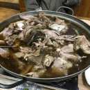 천둥옻오리 이미지