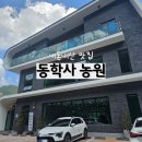 내사랑농원(흑돼지) | 동학사 맛집 계곡 근처 흑돼지 화덕구이 맛집 동학사농원