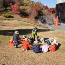 노벨생태어린이집 이미지