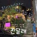 신포역 3번 출구 | 인천 신포 야장 술집 &#39;진달래&#39;｜유린기·돼지고추장찌개 솔직후기 (동인천 분위기 좋은 술집 추천)