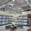 대구강아지분양 도로시펫 이미지