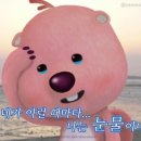 삼삼해