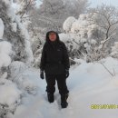 꿈의궁전 이미지