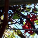 유경농장 이미지