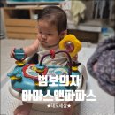 파파스카페 | 범보의자추천ㅣ마마스앤파파스 아기의자 사용 후기