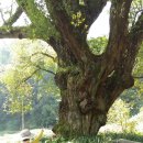 자연동산어린이집 이미지