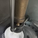 강아지 펫 헤븐 이미지