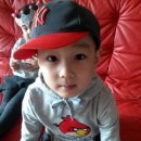 김윤성 카카오 검색결과