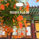 화성종이문화원 | 여름 사찰의 멋 능소화 멋진 수원 봉녕사 경기도 절 데이트 가볼만한곳