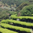 외도보타니아 이미지