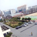 일선의전